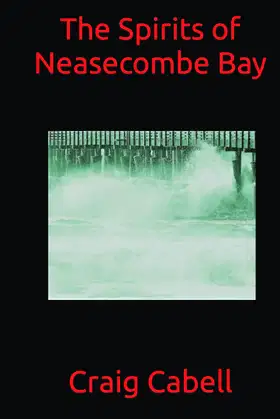 The Spirits of Neasecombe Bay poster