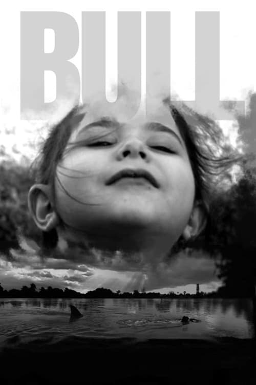 Bull poster