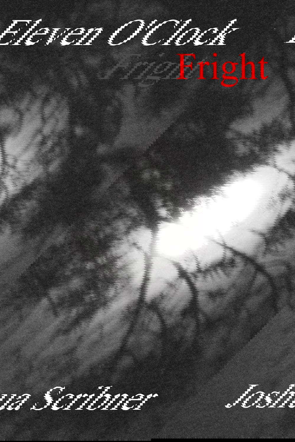 Eleven O'Clock Fright: A Novel poster