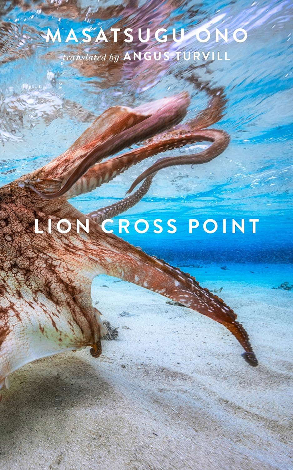 Lion Cross Point poster