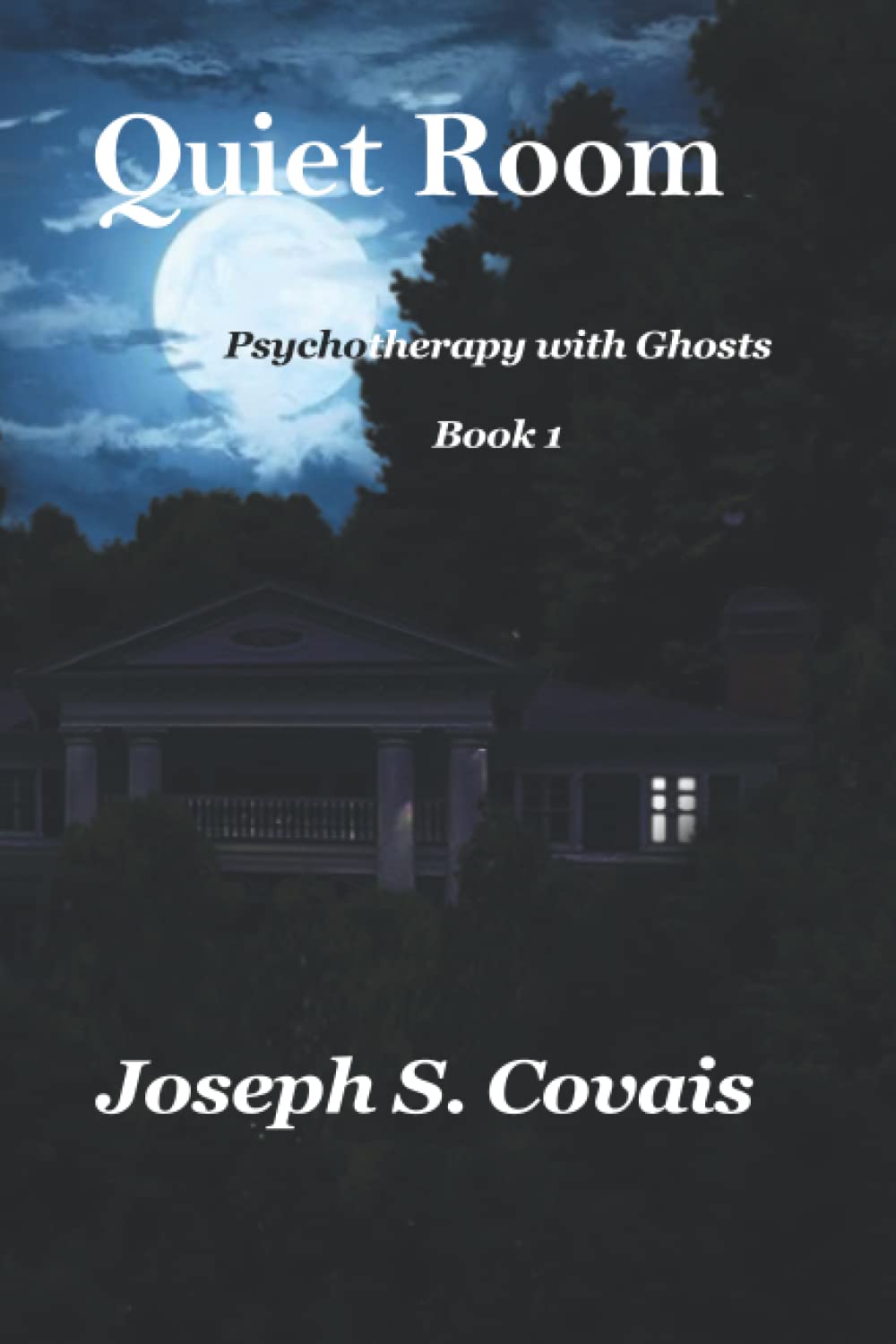 Quiet Room (Psychotherapy with Ghosts) poster