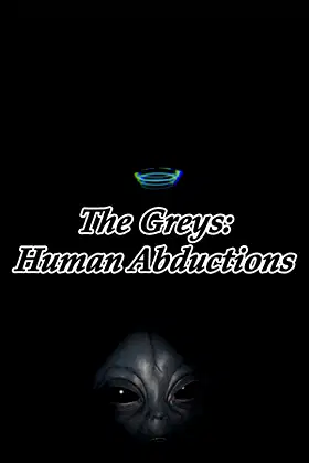 The Greys: Human Abductions poster