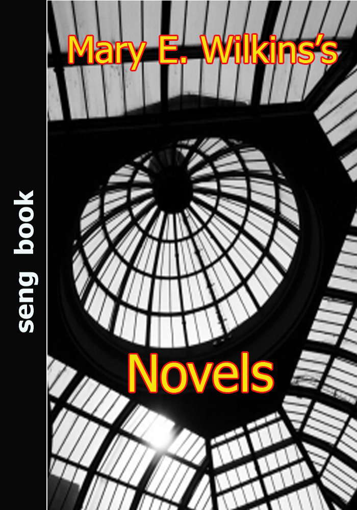 Mary E. Wilkins’s Novels poster