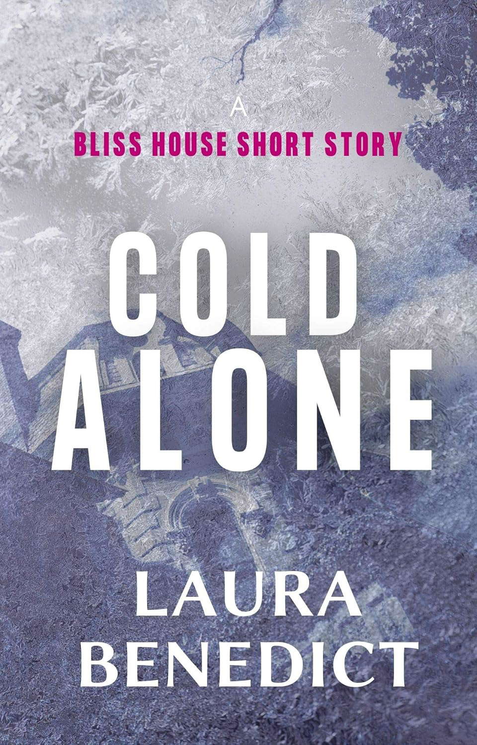 Cold Alone: A Bliss House Story poster