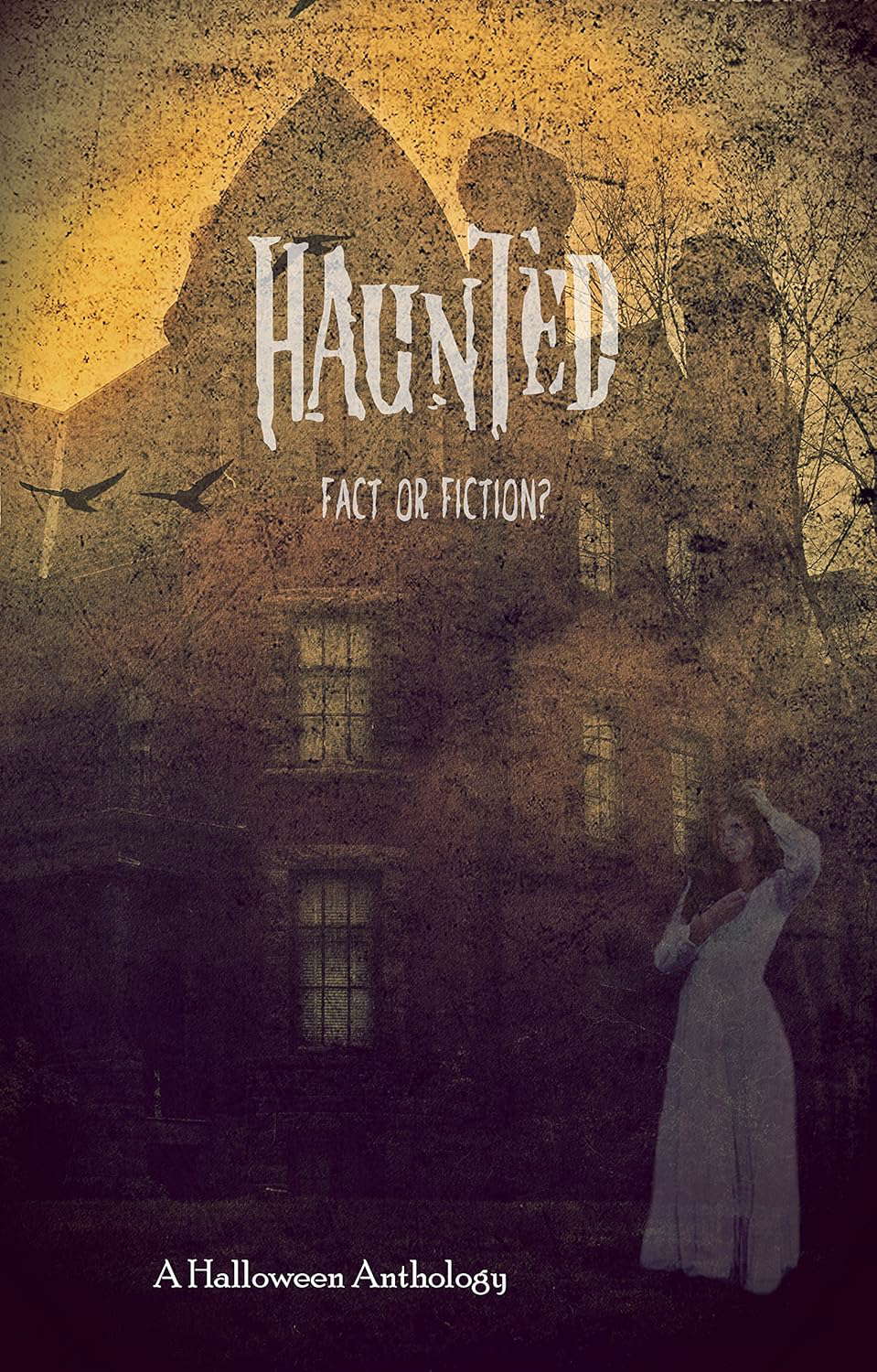 Haunted: Fact or Fiction (A Halloween Anthology Book 1) poster