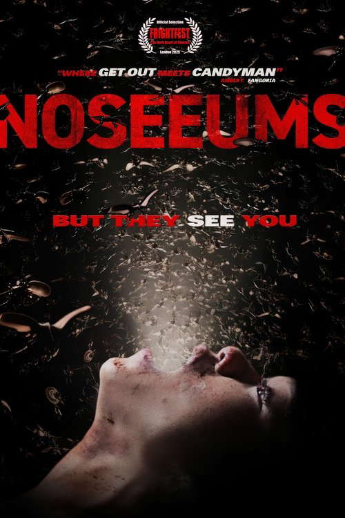 Noseeums poster