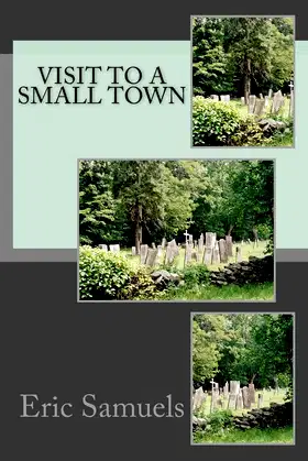 Visit to a Small Town poster
