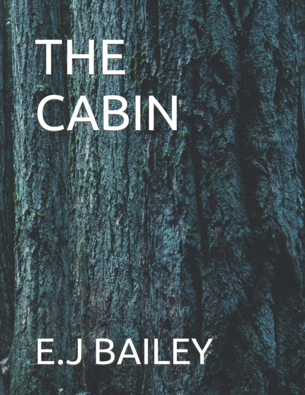 THE CABIN poster
