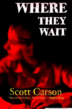 Where They Wait poster