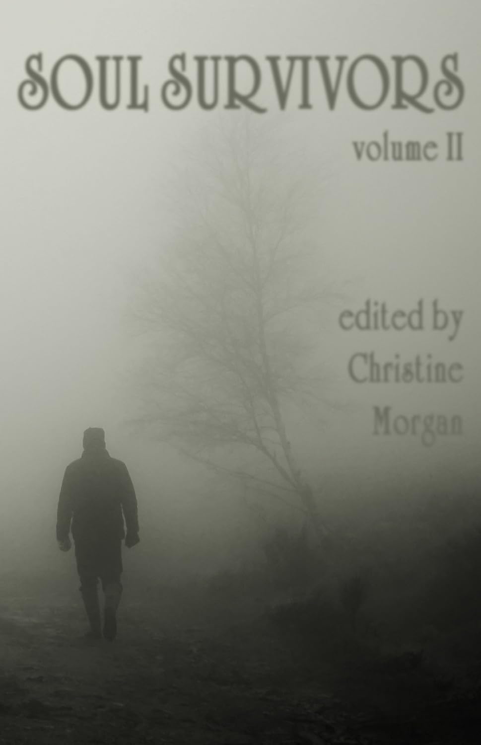 Soul Survivors Volume II poster