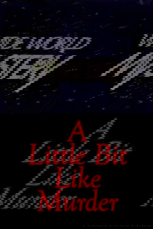 A Little Bit Like Murder poster