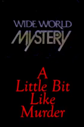 A Little Bit Like Murder poster