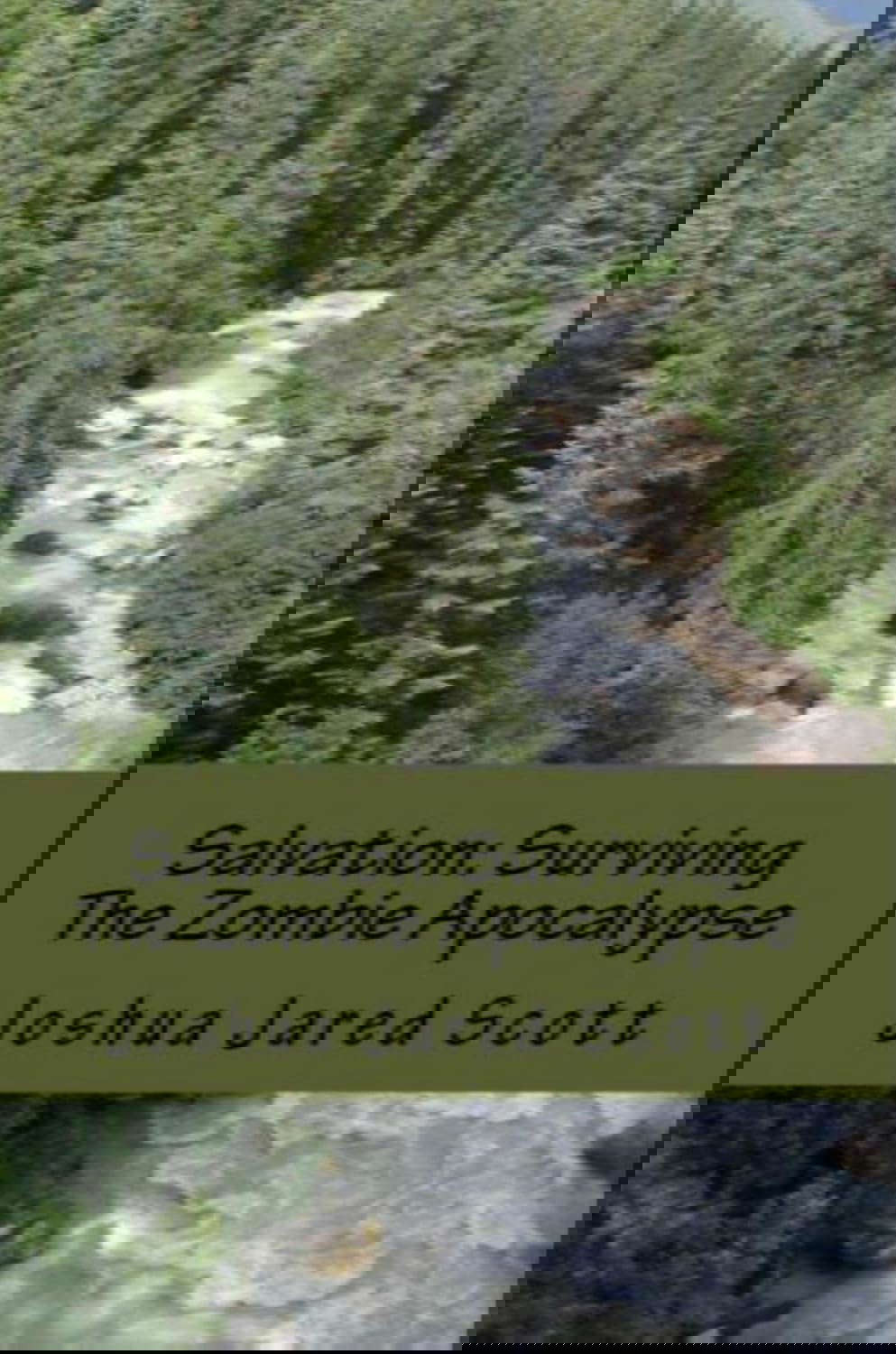 Salvation: Surviving The Zombie Apocalypse poster