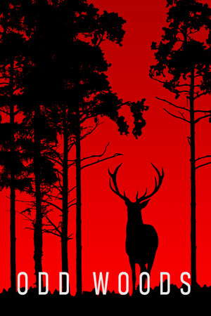 Odd Woods poster
