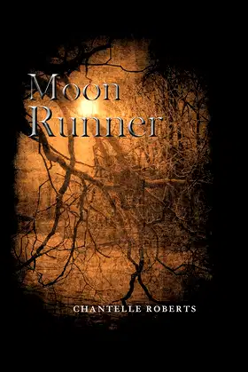 Moon Runner poster