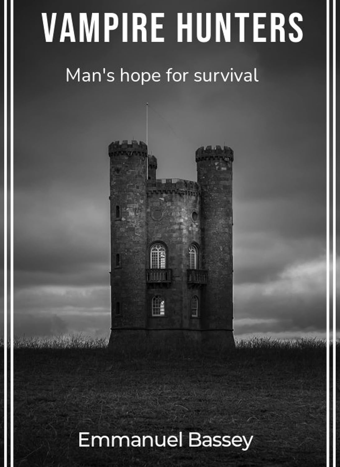 Vampire Hunters poster