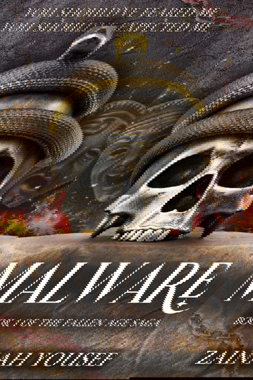 Malware (The Fallen Age Saga) poster