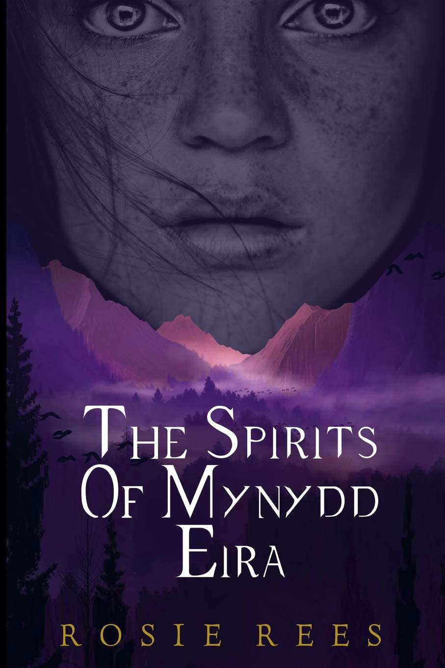 The Spirits of Mynydd Eira poster