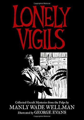 LONELY VIGILS poster