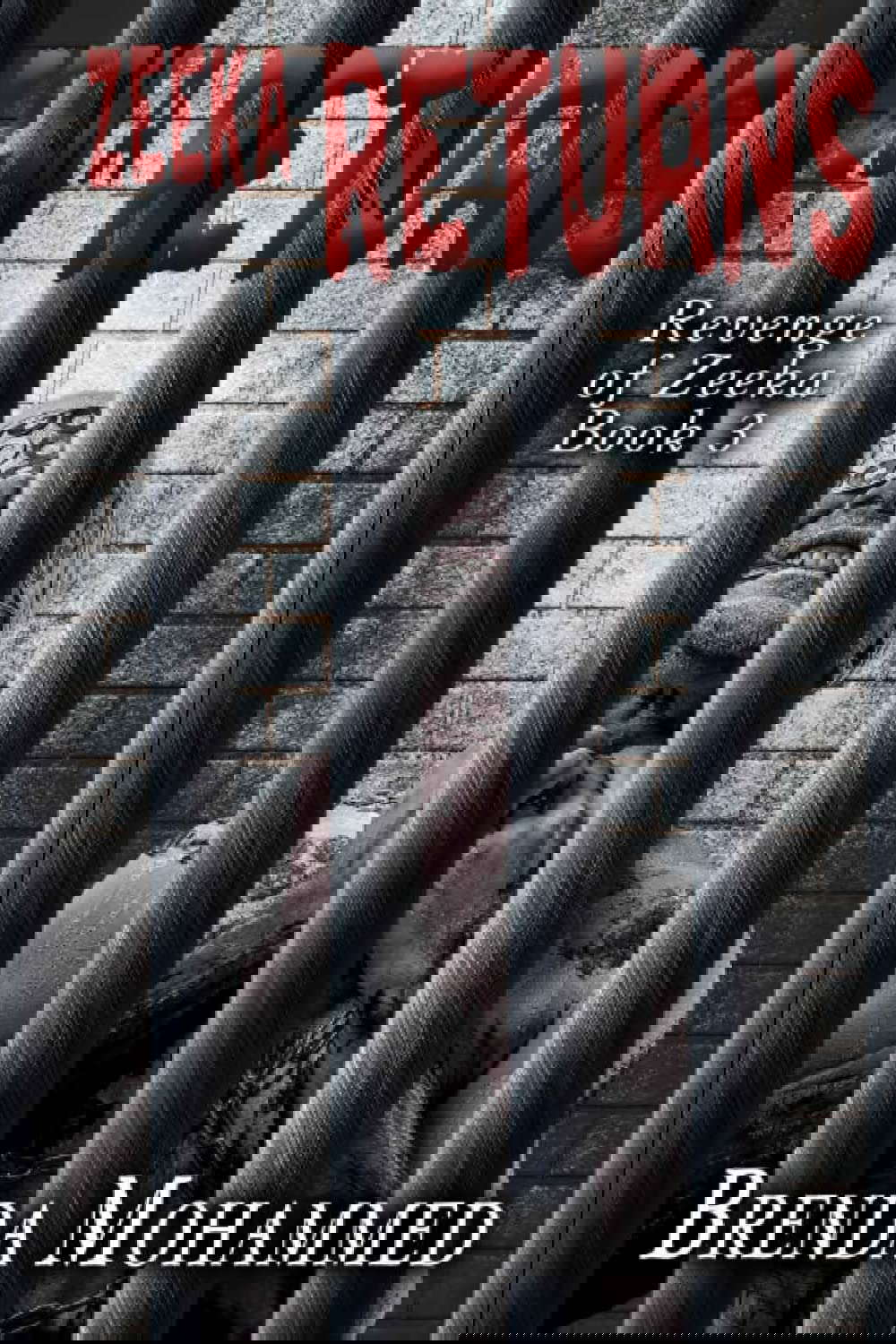 Zeeka Returns (Revenge of Zeeka: Five Book) poster