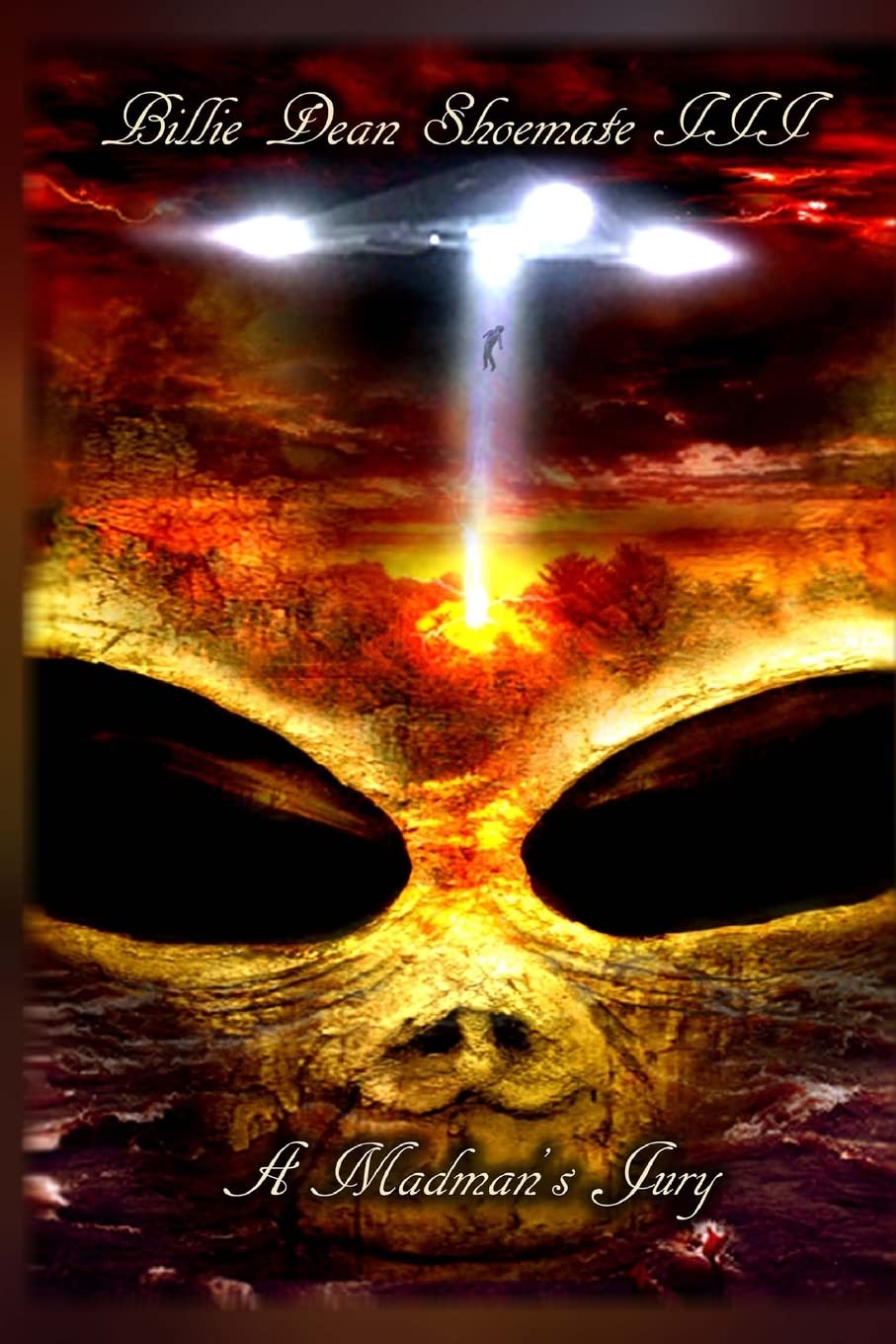 A Madman's Jury poster