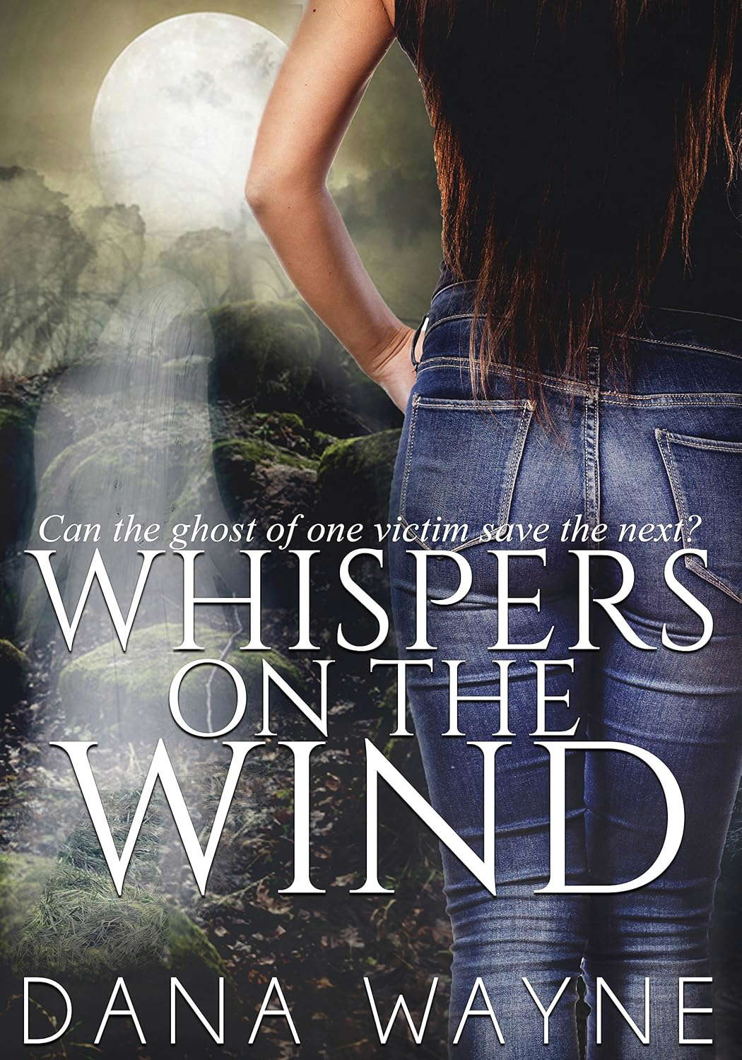 Whispers On The Wind poster
