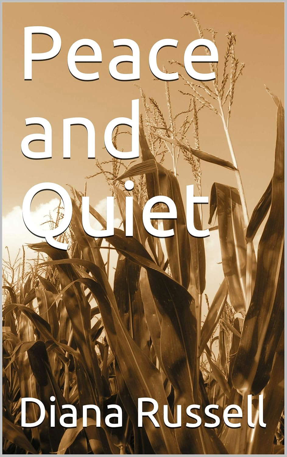 Peace and Quiet poster