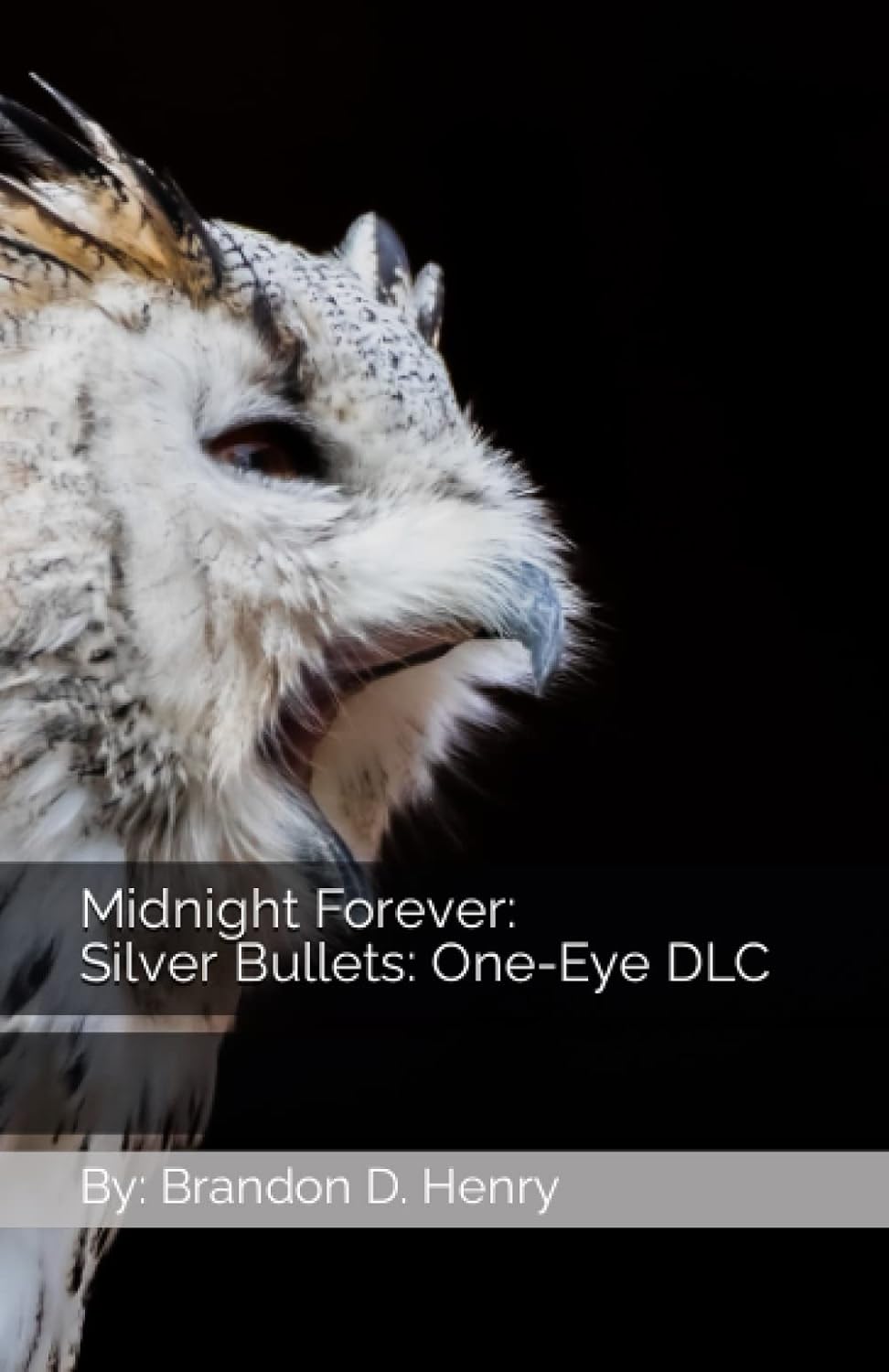 Midnight Forever: Silver Bullets: One-Eye DLC poster