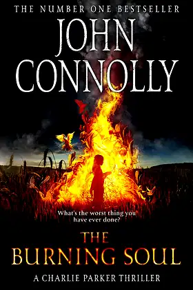 The Burning Soul: A Thriller poster