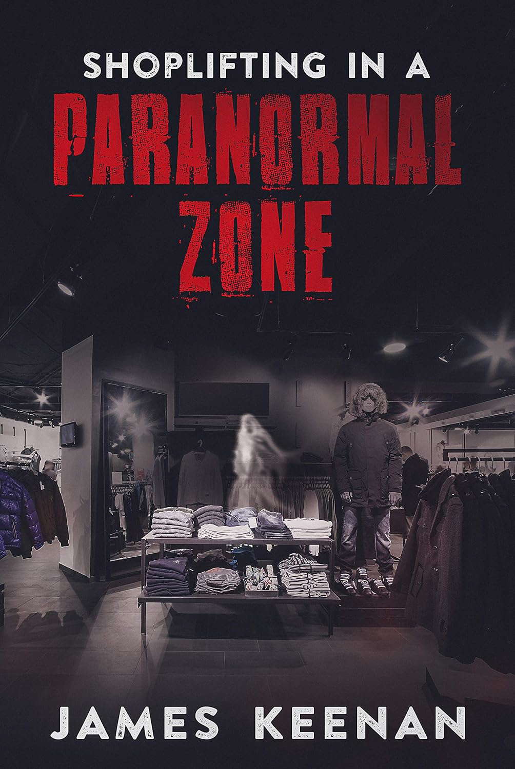 Shoplifting In A Paranormal Zone poster