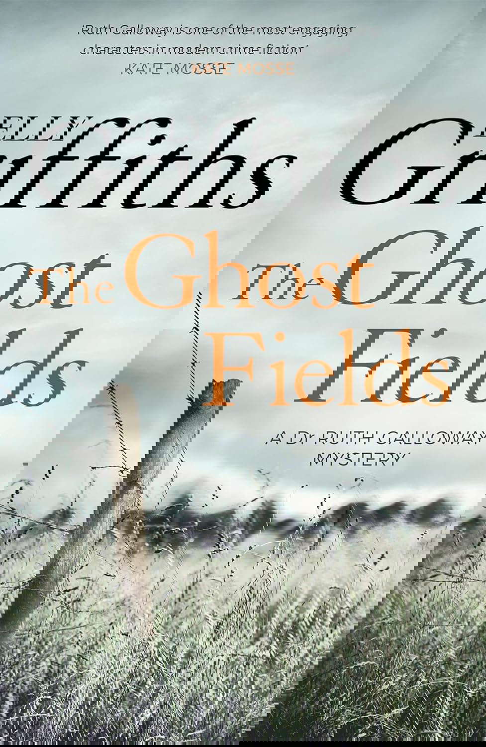 Ghost Fields (The Dr Ruth Galloway Mysteries) poster