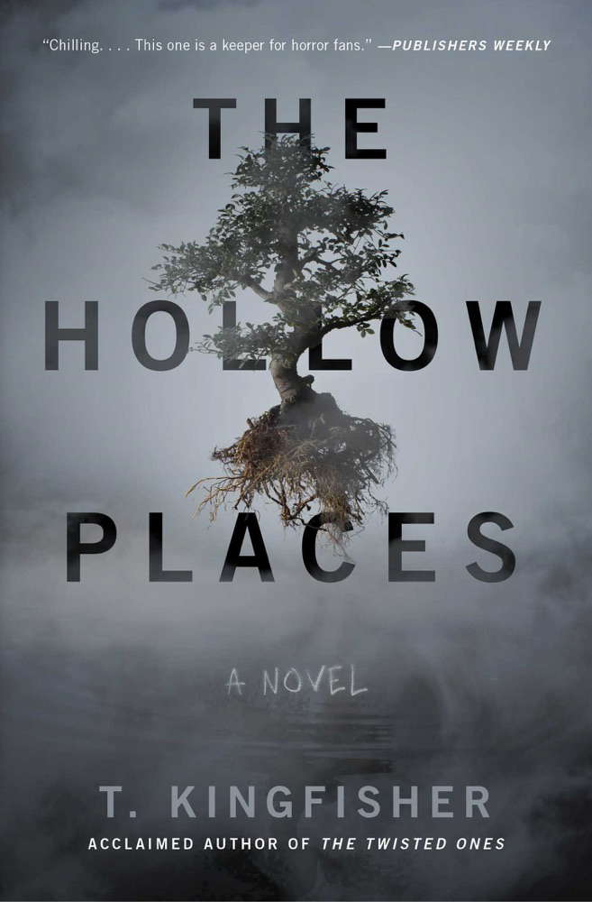 The Hollow Places: A Novel poster