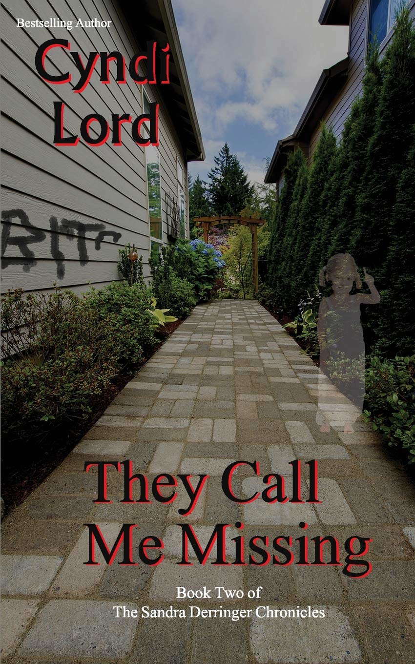They Call Me Missing poster