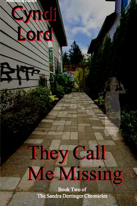 They Call Me Missing poster