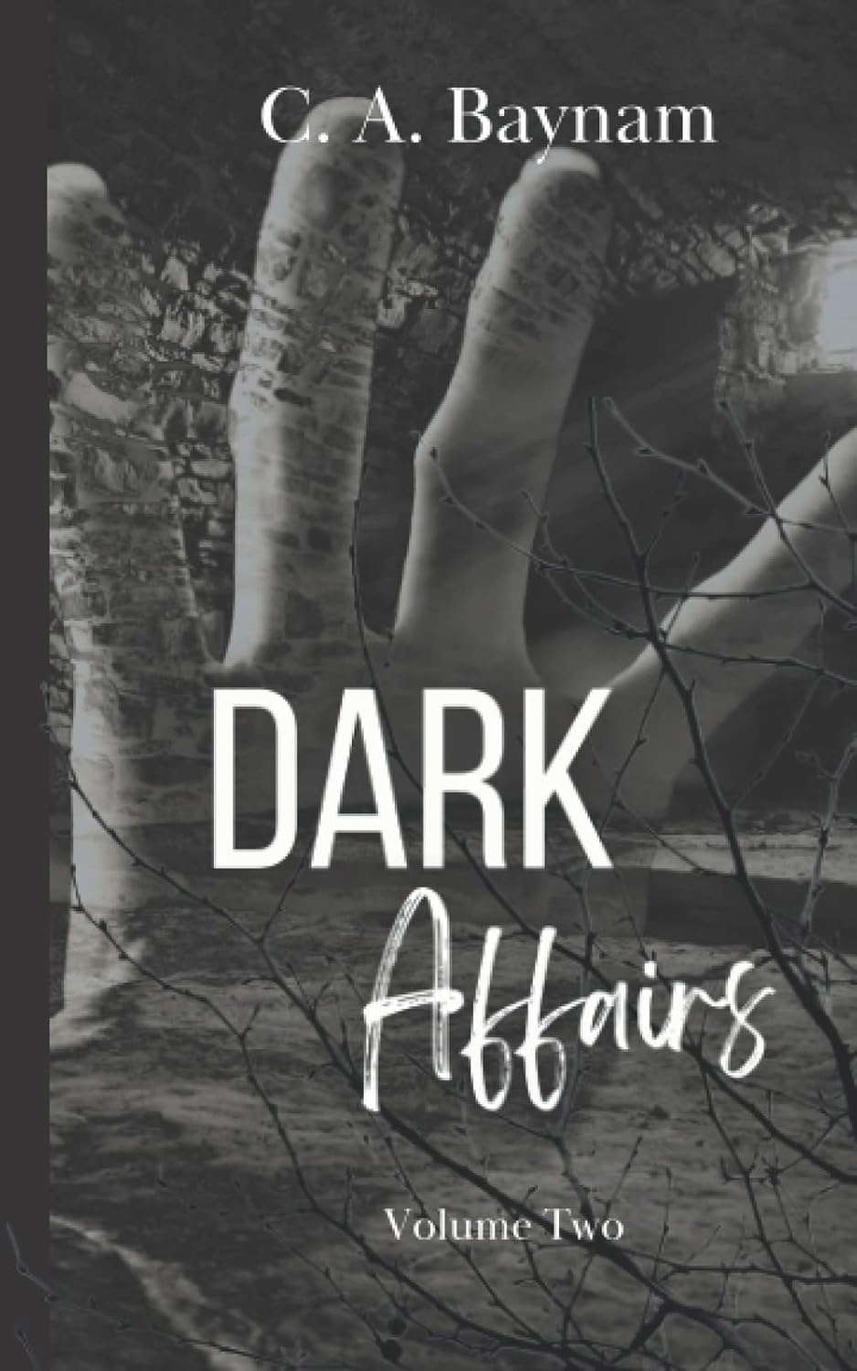 Dark Affairs - Volume Two: A Novella of Extreme Gore poster