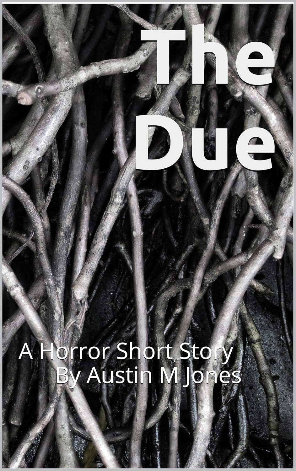 The Due: A Horror Short Story poster