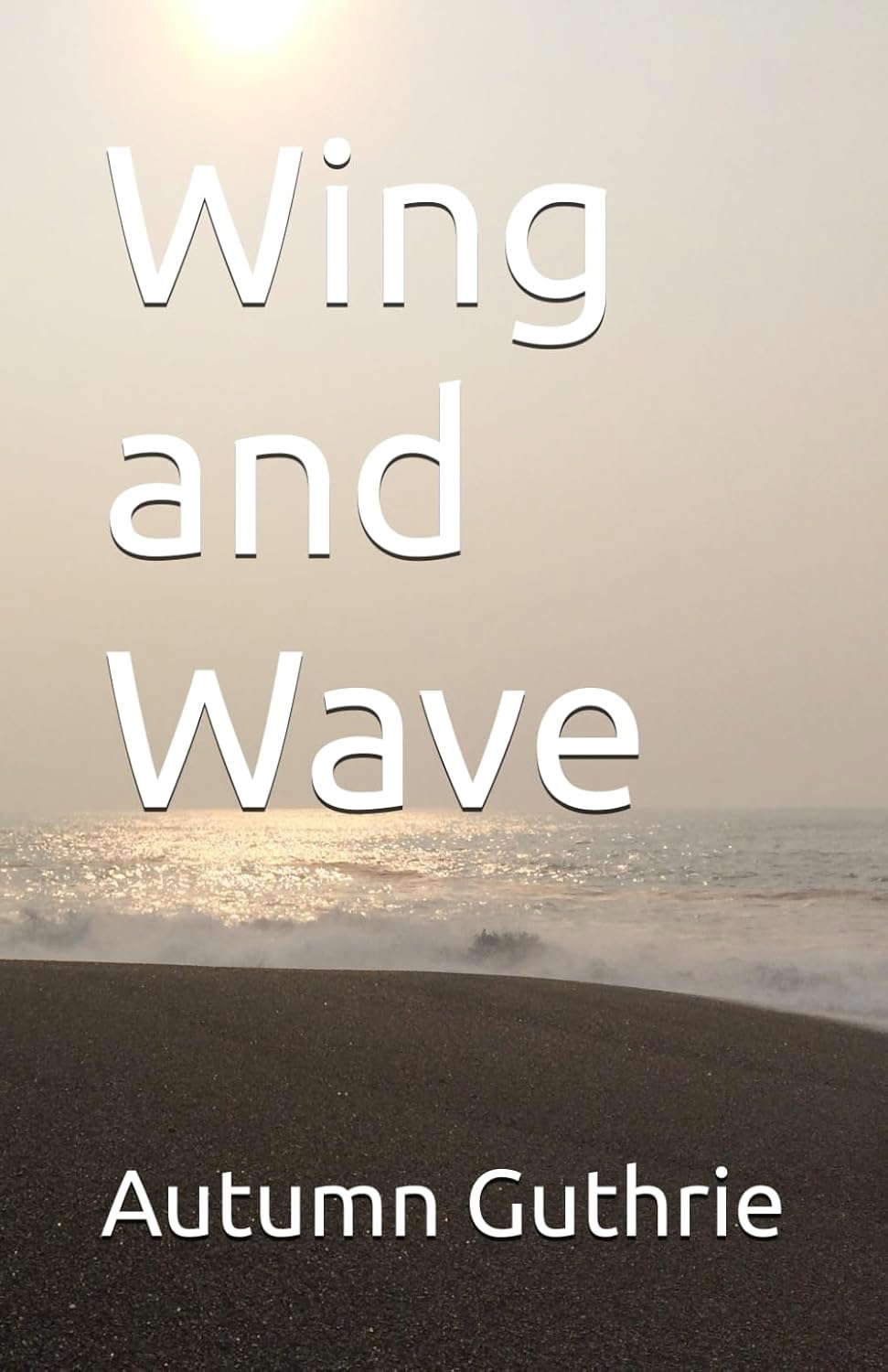 Wing and Wave (Of Air and Sea) poster