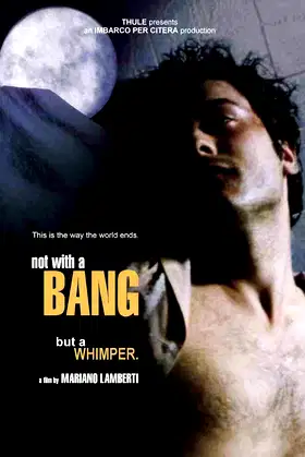 Not with a Bang poster