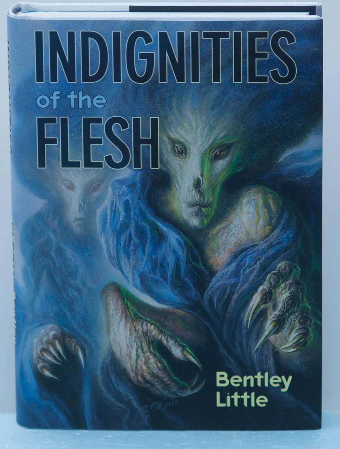 Indignities of the Flesh poster