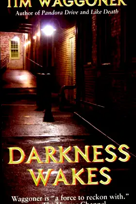 Darkness Wakes poster