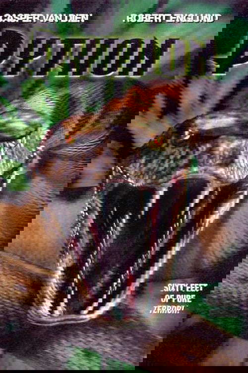 Python poster