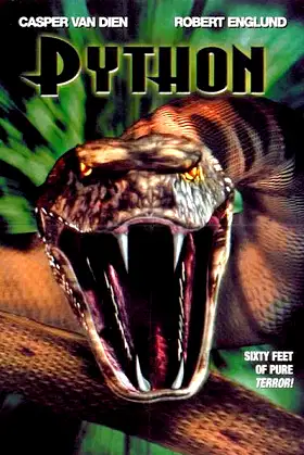 Python poster