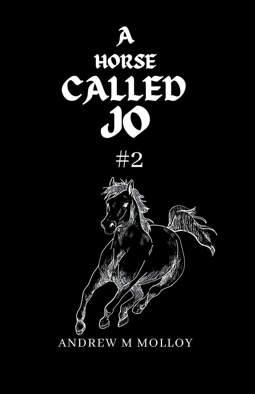 A Horse Called Jo. #2 poster