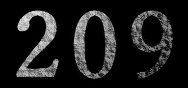 209 capsule