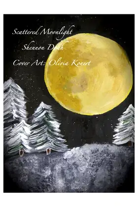 Scattered Moonlight poster