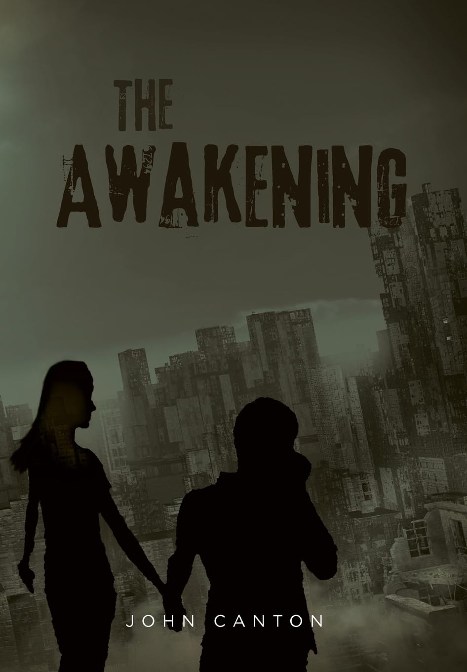 The Awakening poster