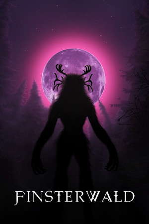 Finsterwald poster