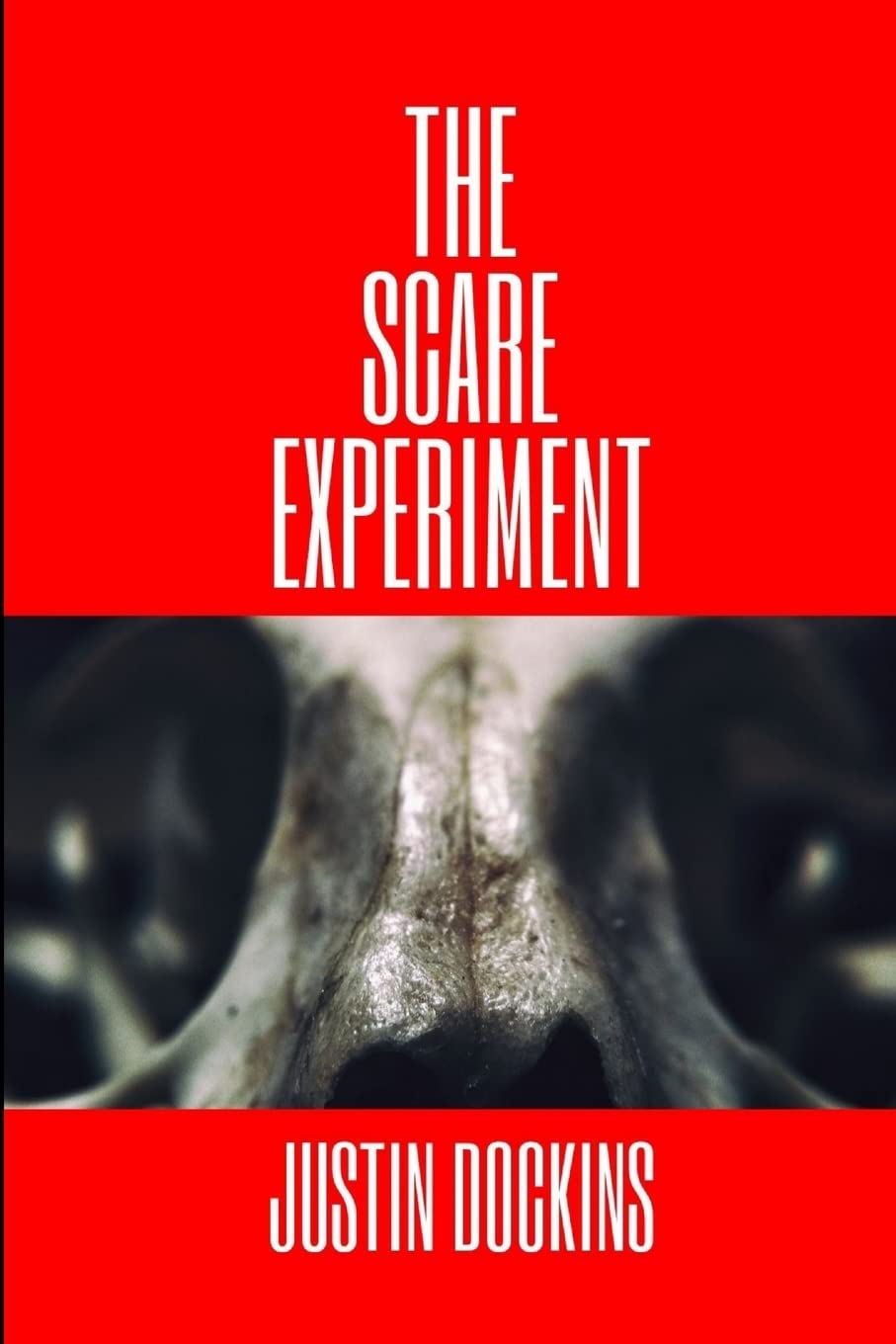 The Scare Experiment poster