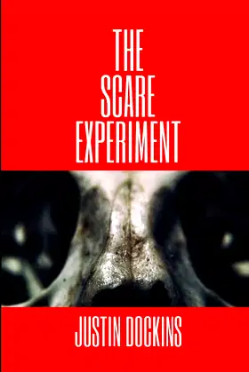 The Scare Experiment poster