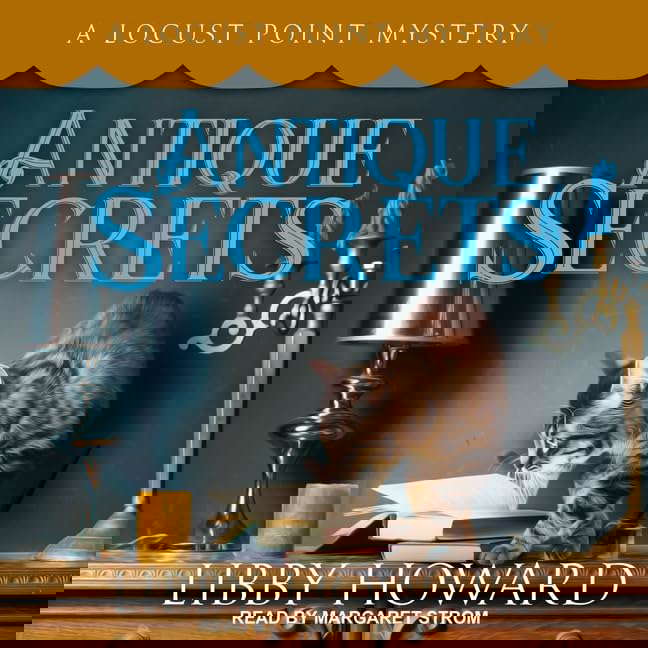 Antique Secrets (The Locus Point Mystery Series) poster